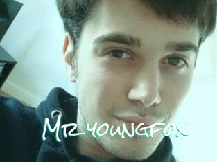 Mr_youngfox
