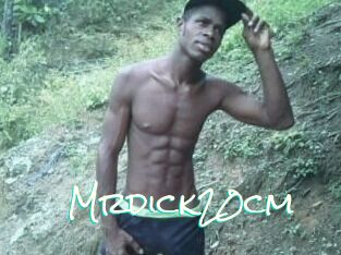 Mrdick20cm