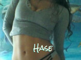 Hase