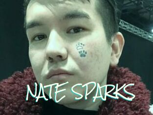 NATE_SPARKS
