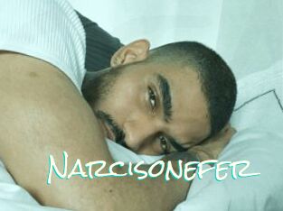 Narcisonefer