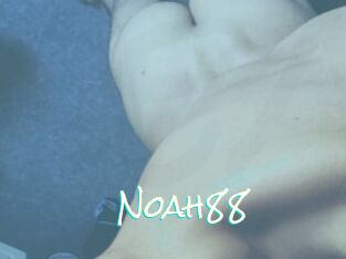 Noah88