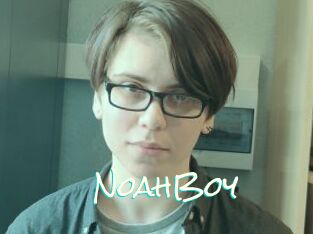 NoahBoy