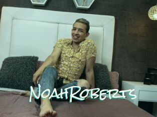 NoahRoberts