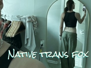 Native_trans_fox