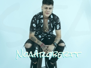 Noahrobertt