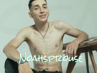 Noahsprouse