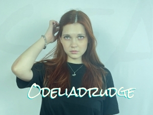 Odeliadrudge