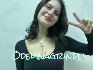 Odelynagrindel