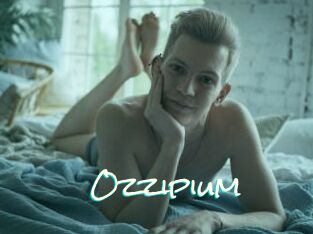 Ozzipium