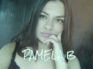 PAMELA_B