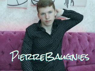 PierreBaugnies