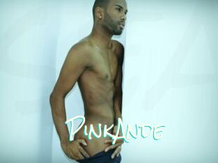 PinkAnde