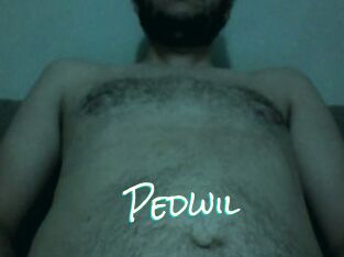 Pedwil