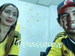 Pegasso_love