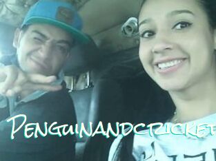 Penguinandcricket