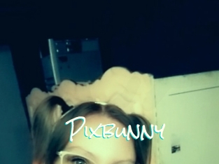 Pixbunny