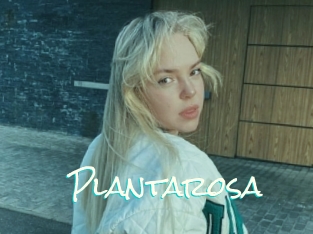 Plantarosa