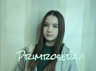 Primrosedavi