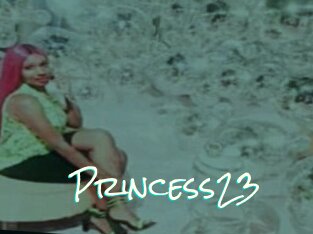 Princess23