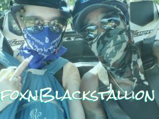 RussianfoxnBlackstallion