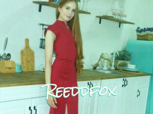 Reeddfox