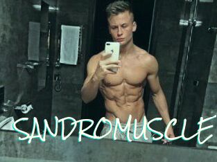 SANDRO_MUSCLE