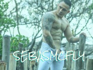 SEBASMCFLY