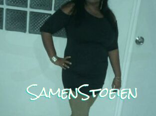 SamenStoeien