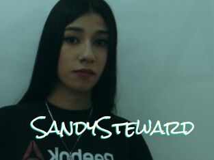 SandySteward