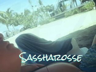 Sassharosse
