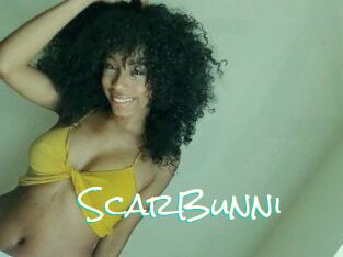 ScarBunni