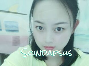 Scindapsus