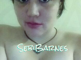 Sebi_Barnes