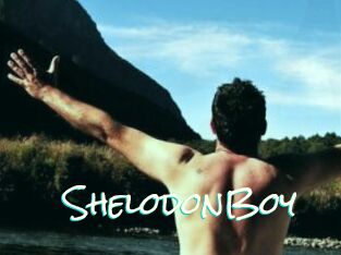 ShelodonBoy
