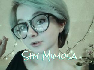 Shy_Mimosa