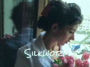 Silkworm