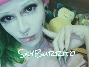 SkyBurrito