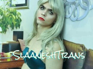 SlaaneshTrans