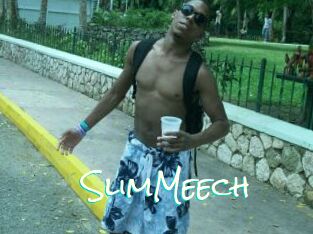 SlimMeech