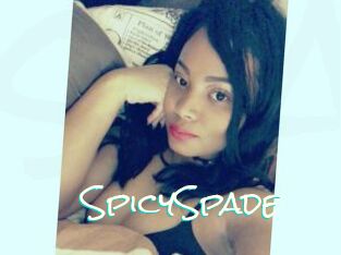 SpicySpade