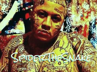 SpiderTheSnake