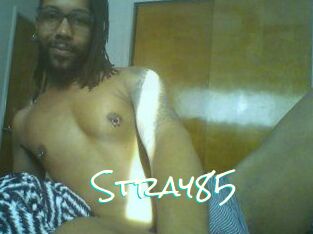 Stray85
