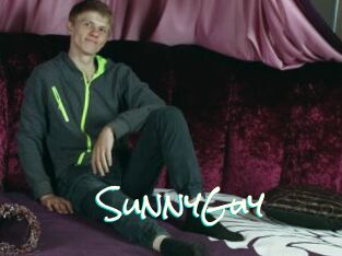 SunnyGuy