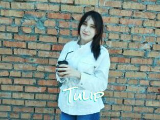 Tulip