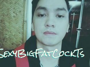 _SexyBigFatCockTs_