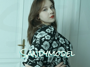 Sandymodel