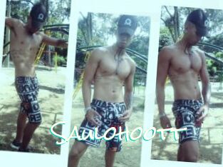 Saulohoott
