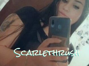 Scarlethrush