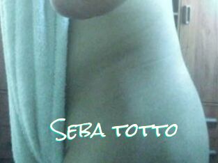 Seba_totto